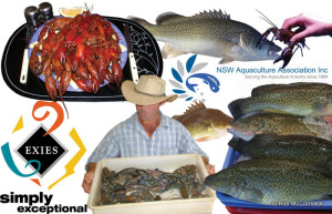 Griffith Yabby & Fish Field Day
