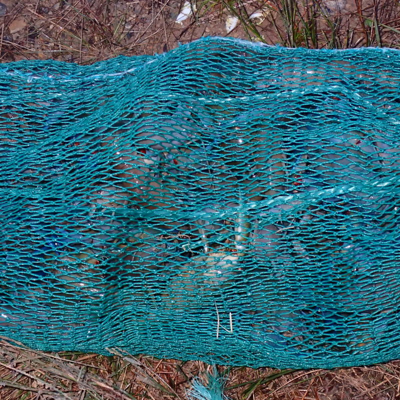 A super yabby trap packed with yabbies