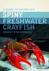 Spiny Crayfish 