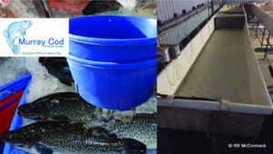 Secondhand Aquaculture Equipment For Sale