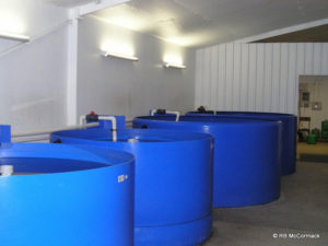 Second hand aquaculture system for sale
