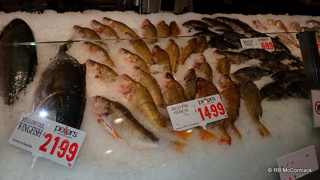 Redfin Perch (English Perch) for sale at Sydney Fish Markets